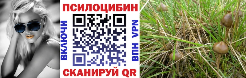 Галлюциногенные грибы ЛСД  ОМГ ОМГ маркетплейс  Оханск 